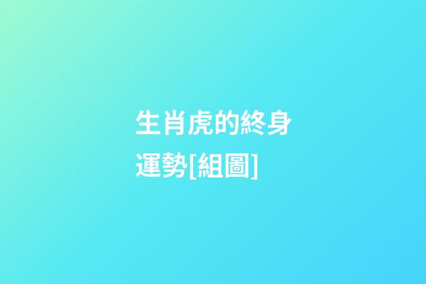 生肖虎的終身運勢[組圖]